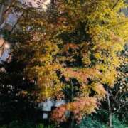 ヒメ日記 2025/12/23 20:51 投稿 ひめか びくびくサークル五反田店