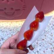 ヒメ日記 2025/04/09 20:28 投稿 りん びくびくサークル五反田店