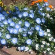 ヒメ日記 2025/04/17 12:47 投稿 りん びくびくサークル五反田店