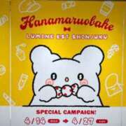 ヒメ日記 2025/05/13 11:54 投稿 りん びくびくサークル五反田店