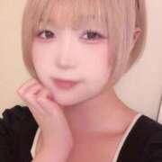 ヒメ日記 2025/09/16 19:31 投稿 りん びくびくサークル五反田店