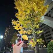 ヒメ日記 2025/12/04 18:56 投稿 りん びくびくサークル五反田店