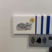 ヒメ日記 2025/12/16 00:24 投稿 りん びくびくサークル五反田店