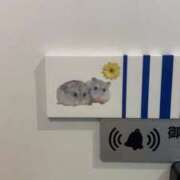 ヒメ日記 2025/12/16 00:41 投稿 りん びくびくサークル五反田店