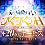ヒメ日記 2026/01/05 19:01 投稿 りん びくびくサークル五反田店