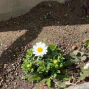 ヒメ日記 2026/02/23 13:26 投稿 りん びくびくサークル五反田店