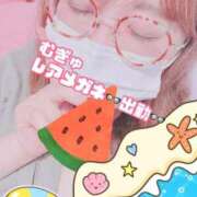 ヒメ日記 2025/08/29 19:49 投稿 むぎゅ 石川小松ちゃんこ