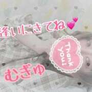 ヒメ日記 2025/08/30 18:39 投稿 むぎゅ 石川小松ちゃんこ