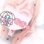 ヒメ日記 2025/10/10 11:59 投稿 むぎゅ 石川小松ちゃんこ