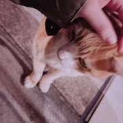 むぎゅ えーん💦 石川小松ちゃんこ