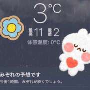 ヒメ日記 2025/12/14 06:59 投稿 むぎゅ 石川小松ちゃんこ