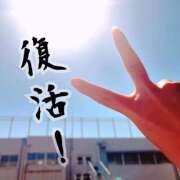 ヒメ日記 2025/04/04 11:45 投稿 さくや びくびくサークル五反田店