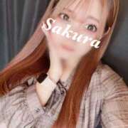 ヒメ日記 2025/12/08 11:32 投稿 さな びくびくサークル五反田店