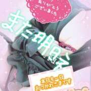 ヒメ日記 2025/03/29 19:35 投稿 ゆう びくびくサークル五反田店