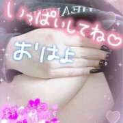 ヒメ日記 2025/04/01 10:28 投稿 ゆう びくびくサークル五反田店