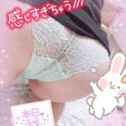 ヒメ日記 2025/04/12 11:40 投稿 ゆう びくびくサークル五反田店