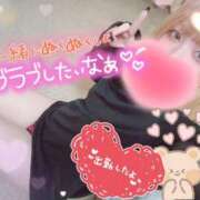 ヒメ日記 2025/04/13 13:01 投稿 ゆう びくびくサークル五反田店