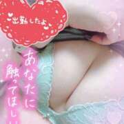 ヒメ日記 2025/05/31 13:16 投稿 ゆう びくびくサークル五反田店