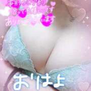 ヒメ日記 2025/06/10 12:13 投稿 ゆう びくびくサークル五反田店