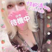 ヒメ日記 2025/07/07 15:30 投稿 ゆう びくびくサークル五反田店