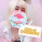 ヒメ日記 2025/07/20 19:21 投稿 ゆう びくびくサークル五反田店