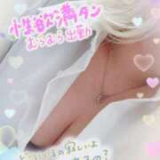 ヒメ日記 2025/07/24 14:02 投稿 ゆう びくびくサークル五反田店