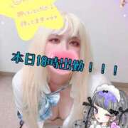 ヒメ日記 2025/07/28 14:41 投稿 ゆう びくびくサークル五反田店