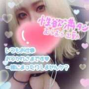 ヒメ日記 2025/07/28 18:58 投稿 ゆう びくびくサークル五反田店