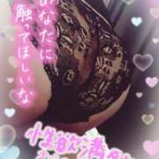 ヒメ日記 2025/07/30 21:16 投稿 ゆう びくびくサークル五反田店