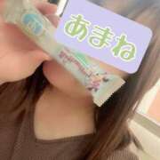 ヒメ日記 2025/04/23 10:06 投稿 あまね 俺のジュニア