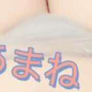 ヒメ日記 2025/04/27 11:16 投稿 あまね 俺のジュニア