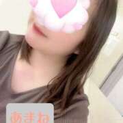 ヒメ日記 2025/05/11 11:46 投稿 あまね 俺のジュニア