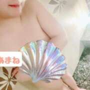 ヒメ日記 2025/05/18 22:46 投稿 あまね 俺のジュニア