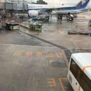 ヒメ日記 2025/06/15 19:56 投稿 あまね 俺のジュニア