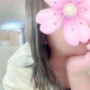 ヒメ日記 2025/06/30 09:16 投稿 あまね 俺のジュニア