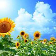 ヒメ日記 2025/07/24 17:16 投稿 あまね 俺のジュニア