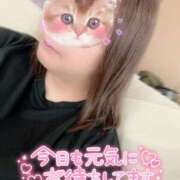 ヒメ日記 2025/07/26 10:16 投稿 あまね 俺のジュニア