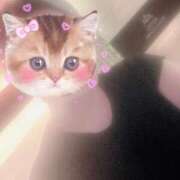 ヒメ日記 2025/07/26 15:26 投稿 あまね 俺のジュニア