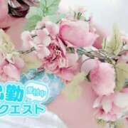 ヒメ日記 2025/08/08 11:07 投稿 あまね 俺のジュニア