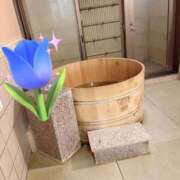 ヒメ日記 2025/08/11 14:46 投稿 あまね 俺のジュニア