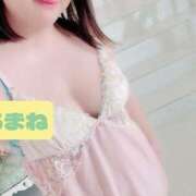 ヒメ日記 2025/08/18 17:06 投稿 あまね 俺のジュニア