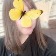 ヒメ日記 2025/08/31 10:20 投稿 あまね 俺のジュニア