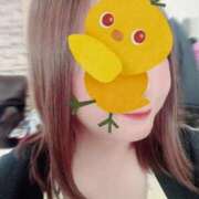 ヒメ日記 2025/09/21 10:36 投稿 あまね 俺のジュニア