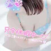 ヒメ日記 2025/09/24 18:11 投稿 あまね 俺のジュニア