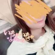 ヒメ日記 2025/10/05 10:26 投稿 あまね 俺のジュニア