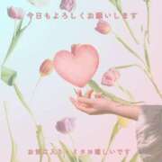 ヒメ日記 2026/03/14 13:26 投稿 あまね 俺のジュニア