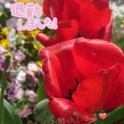 ヒメ日記 2025/05/06 20:58 投稿 れいと びくびくサークル五反田店