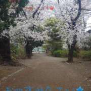 ヒメ日記 2025/05/08 19:38 投稿 れいと びくびくサークル五反田店