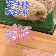 ヒメ日記 2025/06/06 17:13 投稿 れいと びくびくサークル五反田店