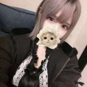 ヒメ日記 2025/04/12 18:42 投稿 みりあ びくびくサークル五反田店